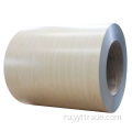 Z275 PPGI Color Coted Roll